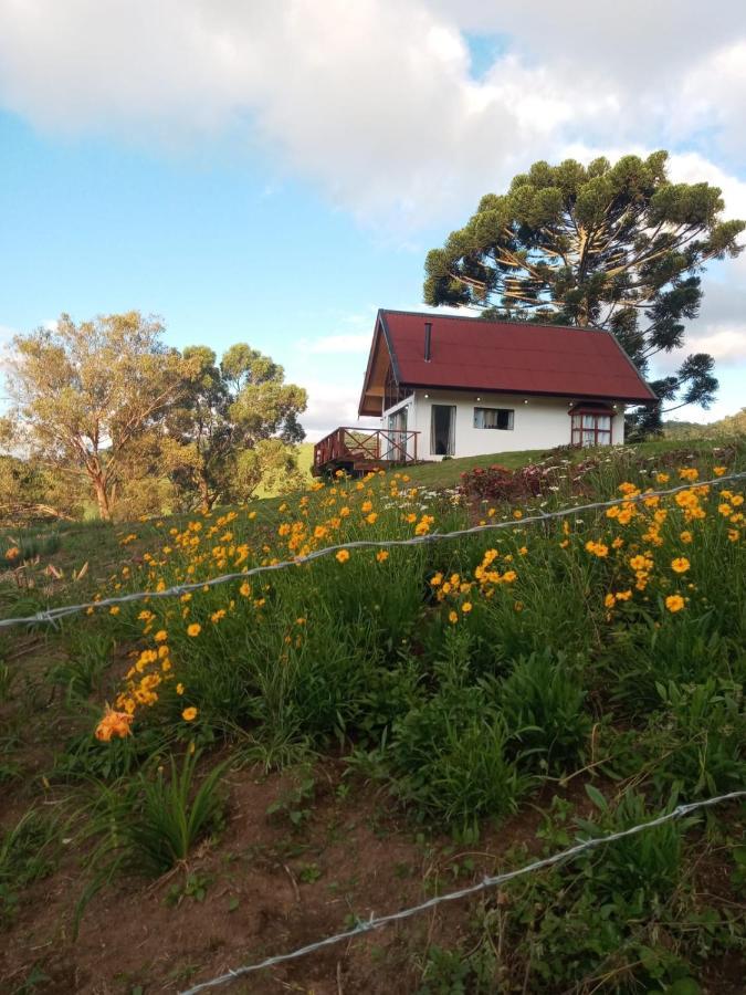 Chale Com Vidros E Hidromassagem Villa São Bento do Sapucaí Eksteriør billede