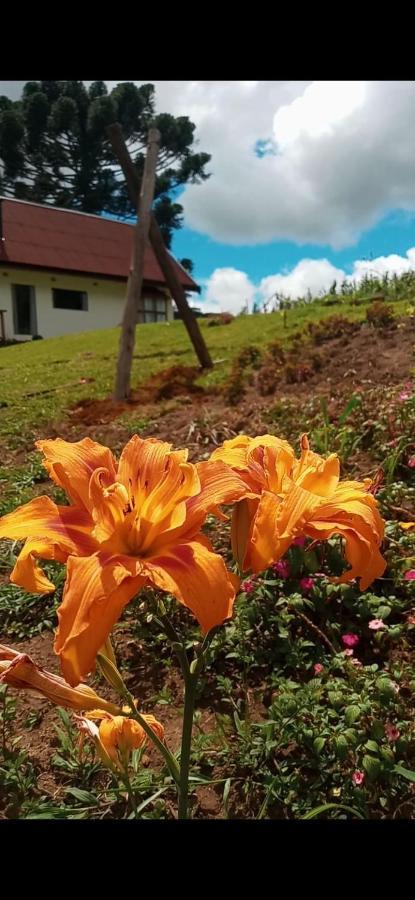 Chale Com Vidros E Hidromassagem Villa São Bento do Sapucaí Eksteriør billede